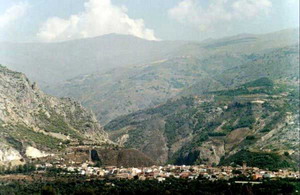 Panoramic View