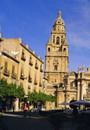 Murcia Cathedral, Spain