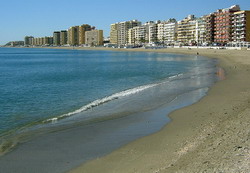 Beach in summer