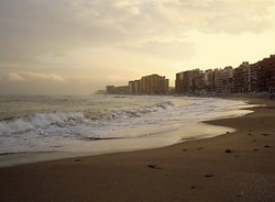 Beach in winter