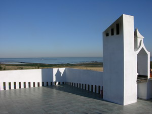 Roof Terrace and barbeque