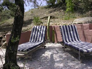 Siesta under the olive trees - click for larger image