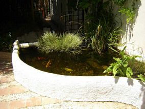 Koi Pond - click for larger image