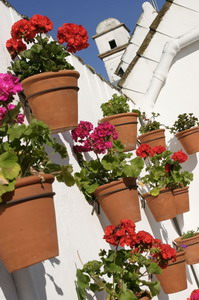 Hospes las Casas del Rey de Baeza