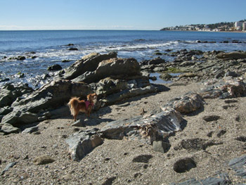 Rocky beach in La Cala de Mijas