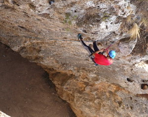 Rock climber in the botanical gardens