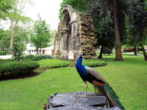 Oca Santo Domingo Plaza