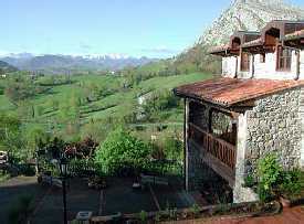 Hotel and Ponga Mountains