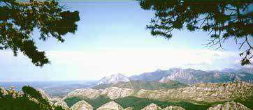 Picos de Europa