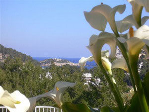 Rural accommodation in the Balearic Islands, Spain