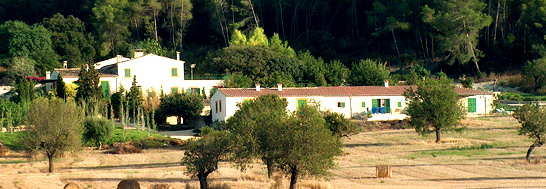 sa Rota den Palerm, Mallorca