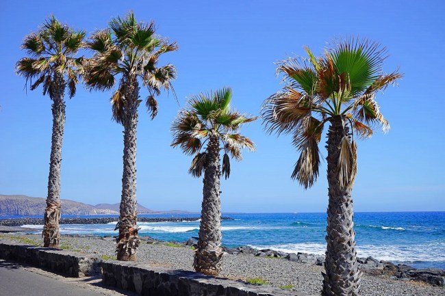 Playa de los Americas, Tenerife