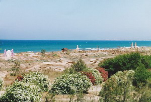 Beach and Chiringuitos